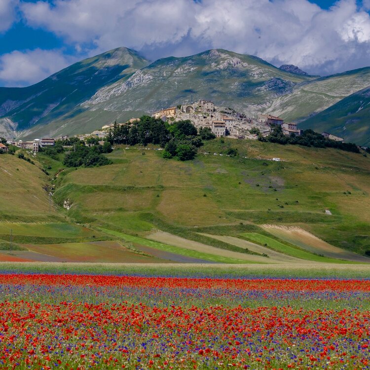the-blooming-wonders-of-umbria-visiting-castelluccio-s-mesmerizing